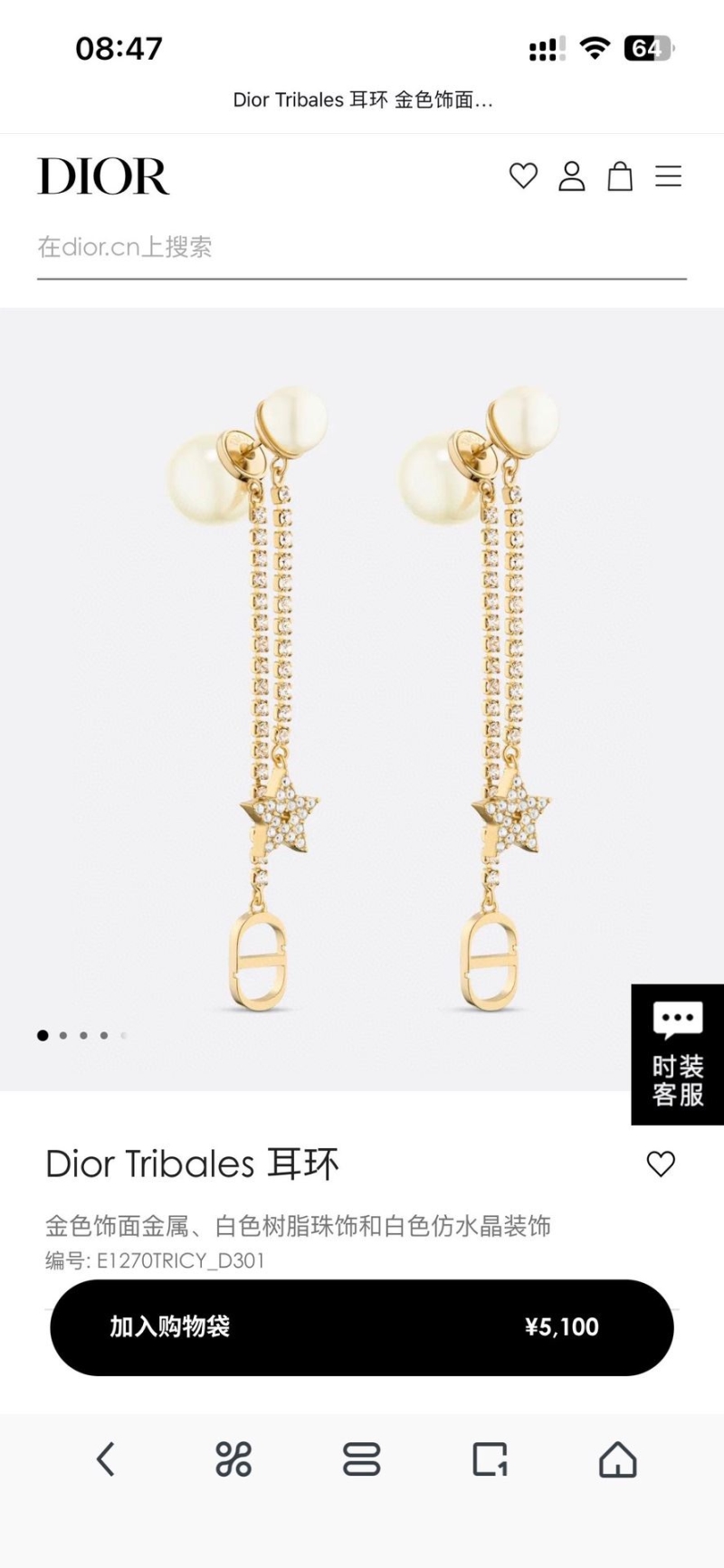 Christian Dior Earrings